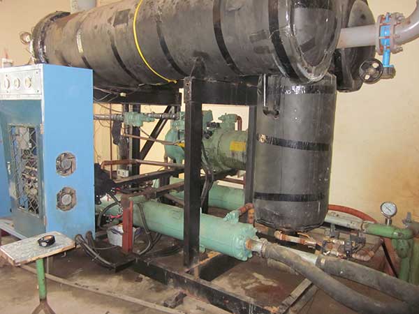 Thay máy nén lạnh Bitzer